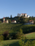 Weinabo-Abothek-Wein-Kistl-Mai-2020-Planet-Vulkanland-Weinhof-Fauster-Sauvignon-Blanc-Vulkanland-Steiermark-DAC-2019-Bild-@Winzer-Vulkanland-Steiermark-Kapfenstein-shop_web