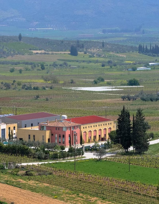Weinabo-Abothek-Griechenland-Peloponnes-Lafazanis-Moschofilero-Geometria-2020-Weingut-web