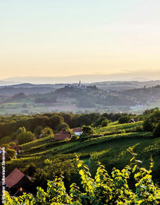 Weinabo-Abothek_Mai-2022_Vulkanland-Steiermark_Weinhof-Fauster_Muskateller_Vulkanland_Steiermark_DAC_2021_Straden©Winzer_Vulkanland_Steiermark_web