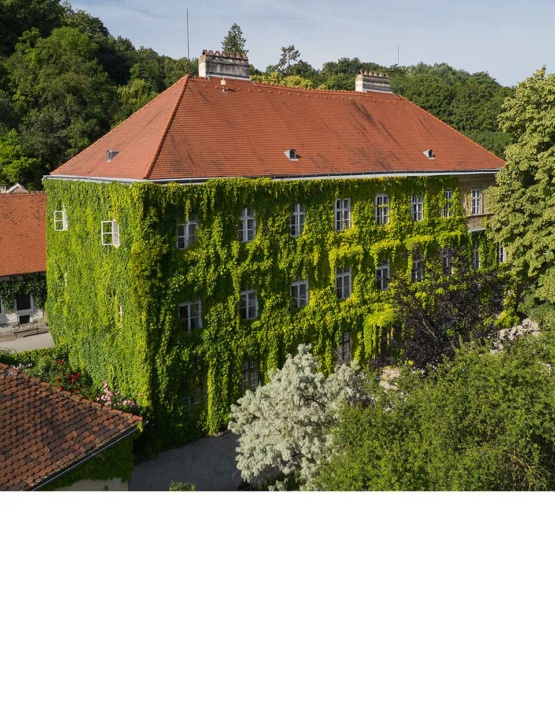 Schloss-Hollenburg_Luftbild-Ost_Foto-Marc-Lins_Shop_web
